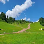 Valles Vacanze - In & Out * Falcade